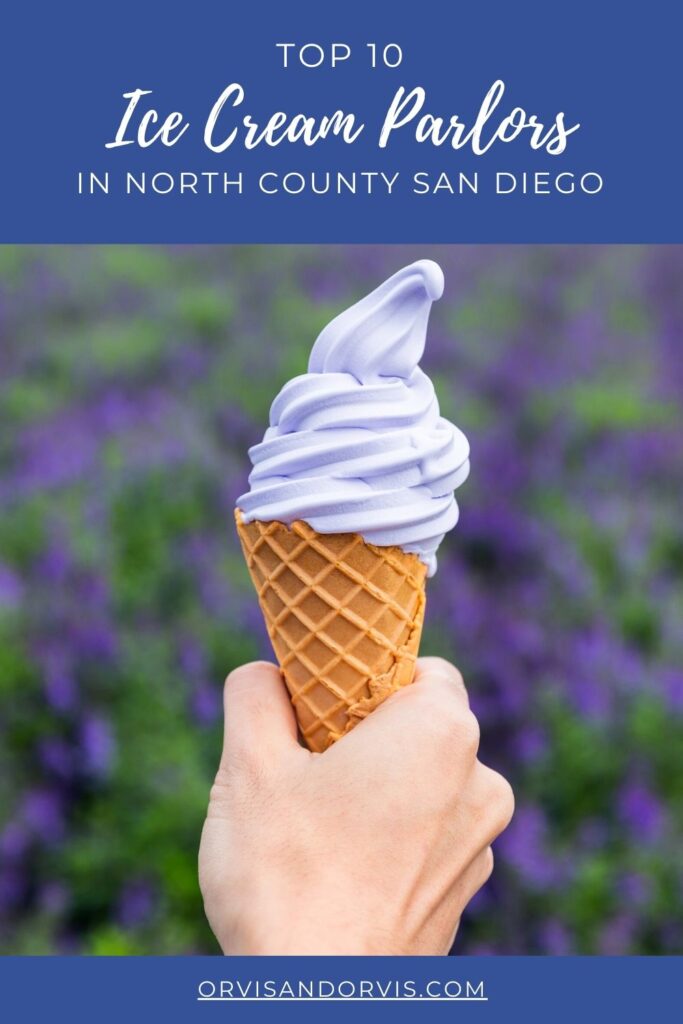 ice ream cone held in front of a flower field